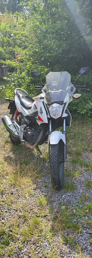 Honda CBF 125 White - 1