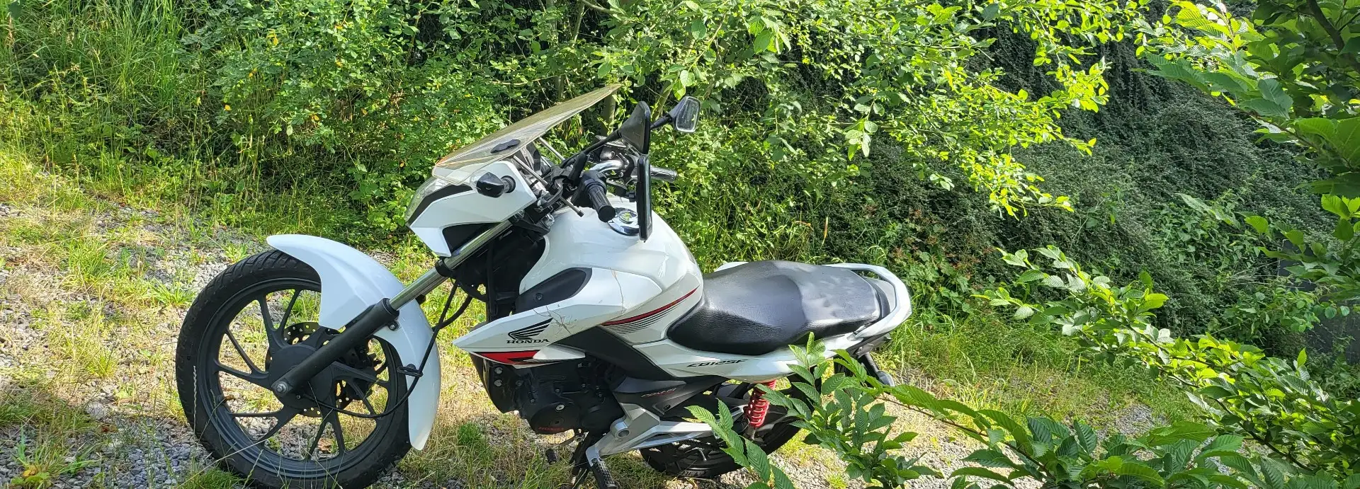Honda CBF 125 White - 2