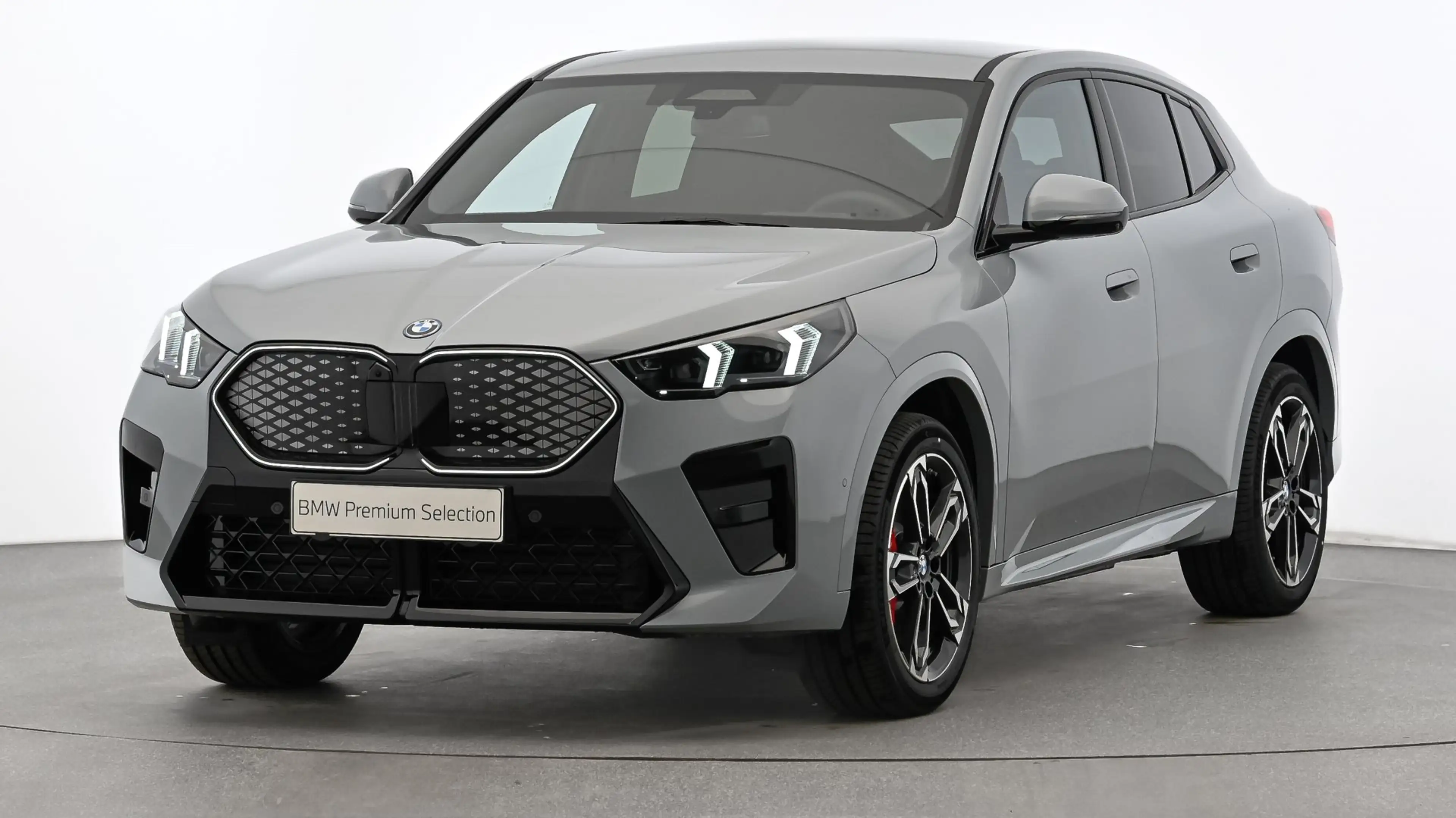 BMW iX2 xDrive30 — photo 6