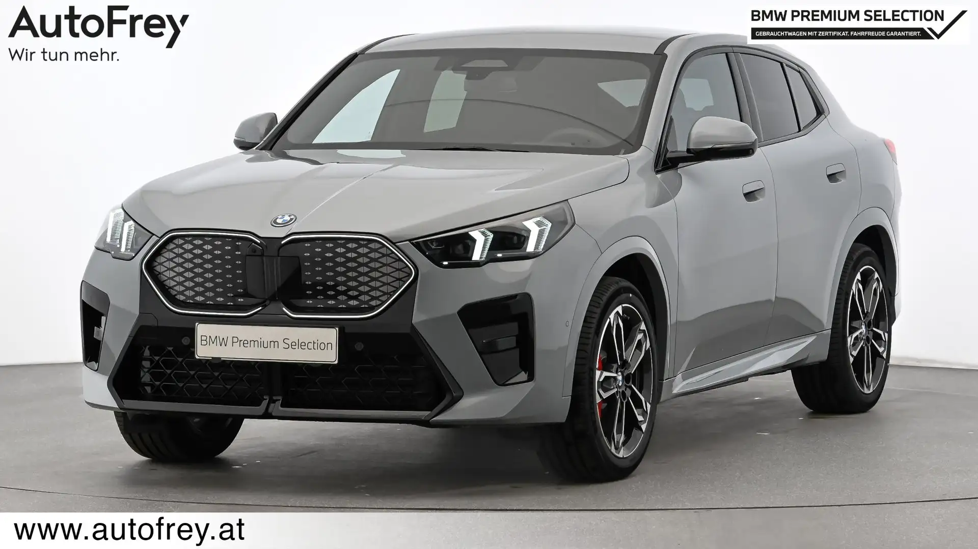 BMW iX2 xDrive30 Grau - 1