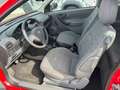 Opel Corsa 1.0 Rot - thumbnail 6