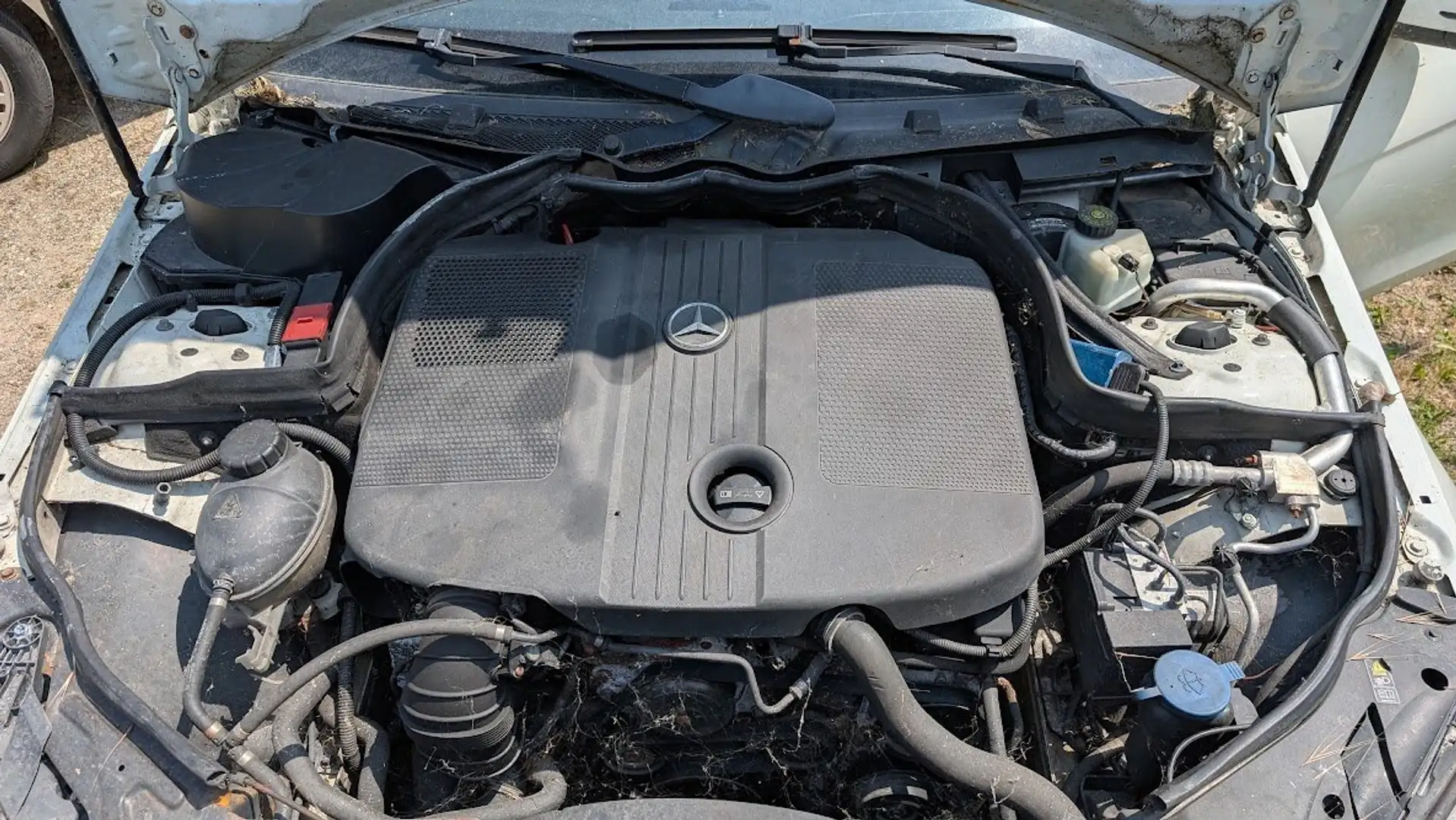 Mercedes-Benz C 200 C SW 200 cdi Elegance Bianco - 2