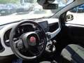Fiat Panda 4x2 FireFly Hybrid 70 Cross Gelb - thumbnail 12