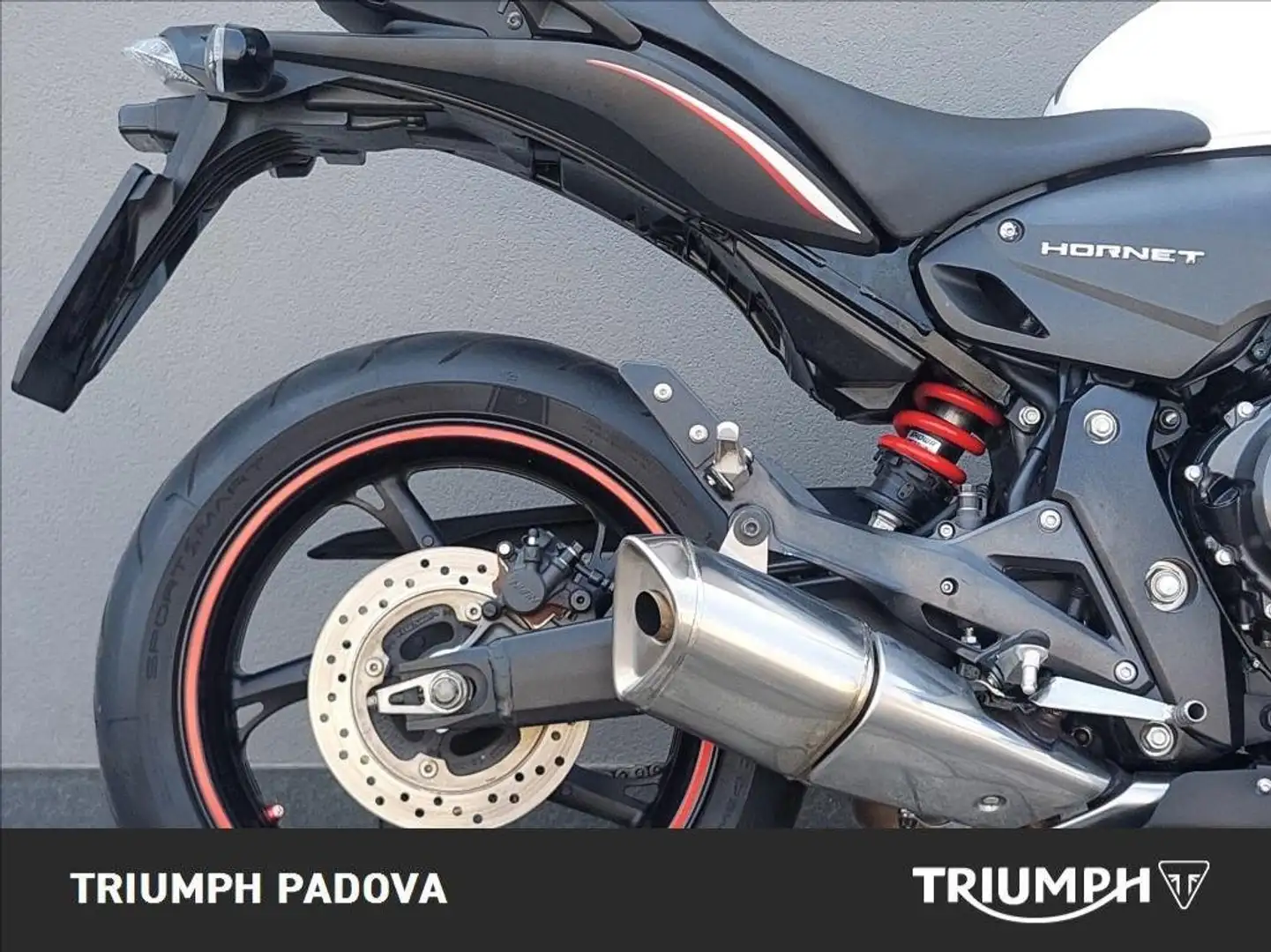 Honda Hornet 600 Weiß - 2