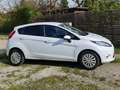 Ford Fiesta Fiesta Trend 1,25 Trend Weiß - thumbnail 8