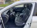 Nissan Qashqai Qashqai 1.6 dCi 2WD Black Edition Xtronic Weiß - thumbnail 16