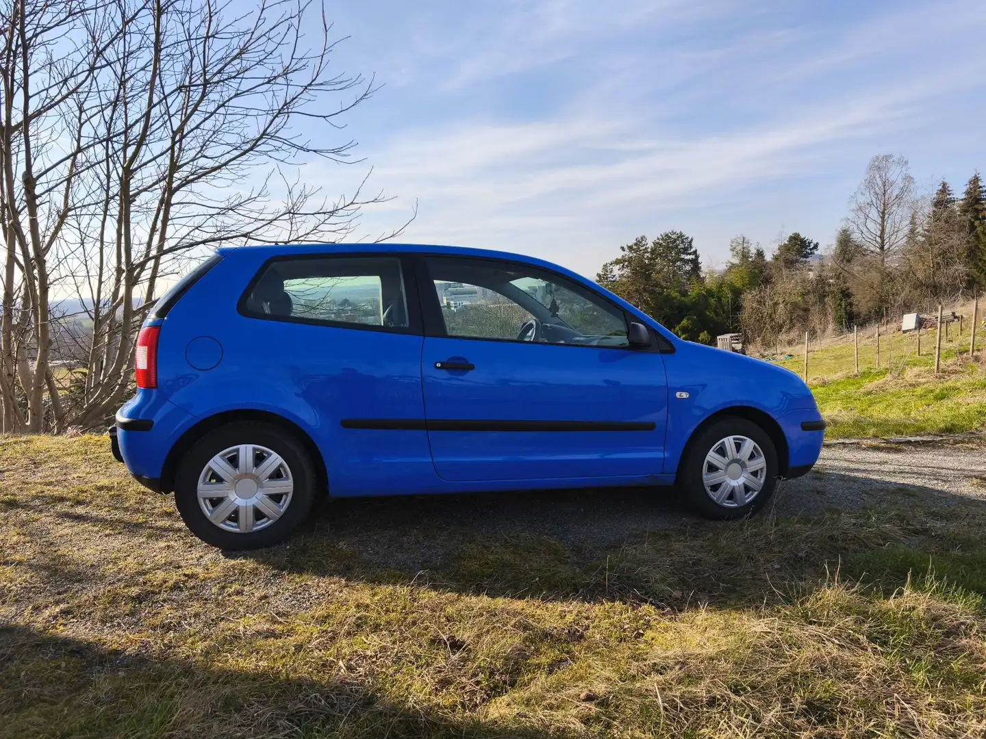 Volkswagen Polo - 2