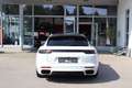 Porsche Panamera ST E-Hybrid/SportDesign/Matrix/Approved Blanc - thumbnail 15