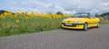Peugeot 306 Cabrio 1,6 - thumbnail 15