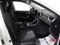 Toyota RAV 4 RAV4 2.5 HV (222CV) E-CVT AWD-i Dynamic Weiß - thumbnail 7