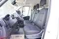 Fiat Ducato MAXI DK Pritsche L3 3500 140 MT Bianco - thumbnail 8