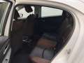 Mazda 2 SKYACTIV-G 90  6GS AD'VANTAGE Weiß - thumbnail 8