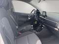 Kia Picanto Vision 1.0 NAVI,KAMERA,PDC,DAB,SITZHZG Weiß - thumbnail 14