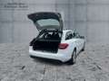 Mercedes-Benz C 220 d 4MATIC T-Modell *PTS*Shz*LED*Klima* Weiß - thumbnail 14