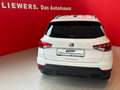 SEAT Arona Austria Edition 1.0 TSI Weiß - thumbnail 4