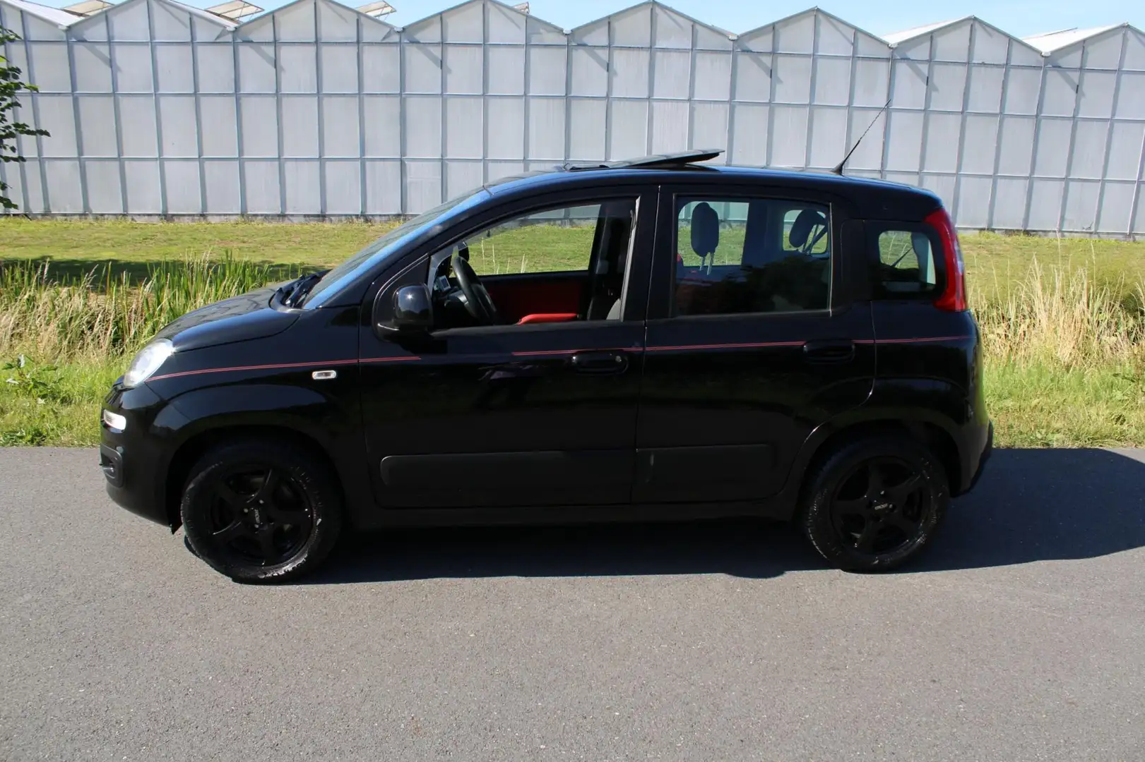 Fiat Panda 1.2 Edizione Cool Zwart - 2