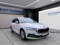 Skoda Octavia Combi 2.0 TDI DSG STYLE NAVI KLIMA PDC SHZG Weiß - thumbnail 6