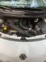 Renault Wind Wind 1.2 TCE Collection Wit - thumbnail 19