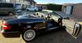 Mercedes-Benz CLK 200 Cabrio Kompressor Automatik Elegance - thumbnail 6