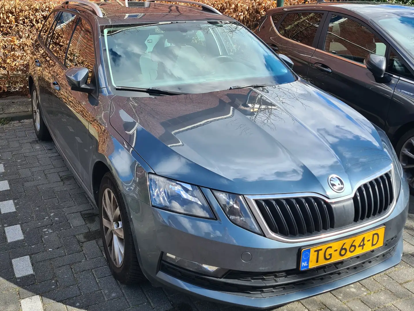 Skoda Octavia Octavia 1.0 TSI Grt Amb. Bns Grijs - 1