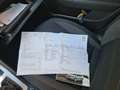 Skoda Octavia Octavia 1.0 TSI Grt Amb. Bns Grijs - thumbnail 5