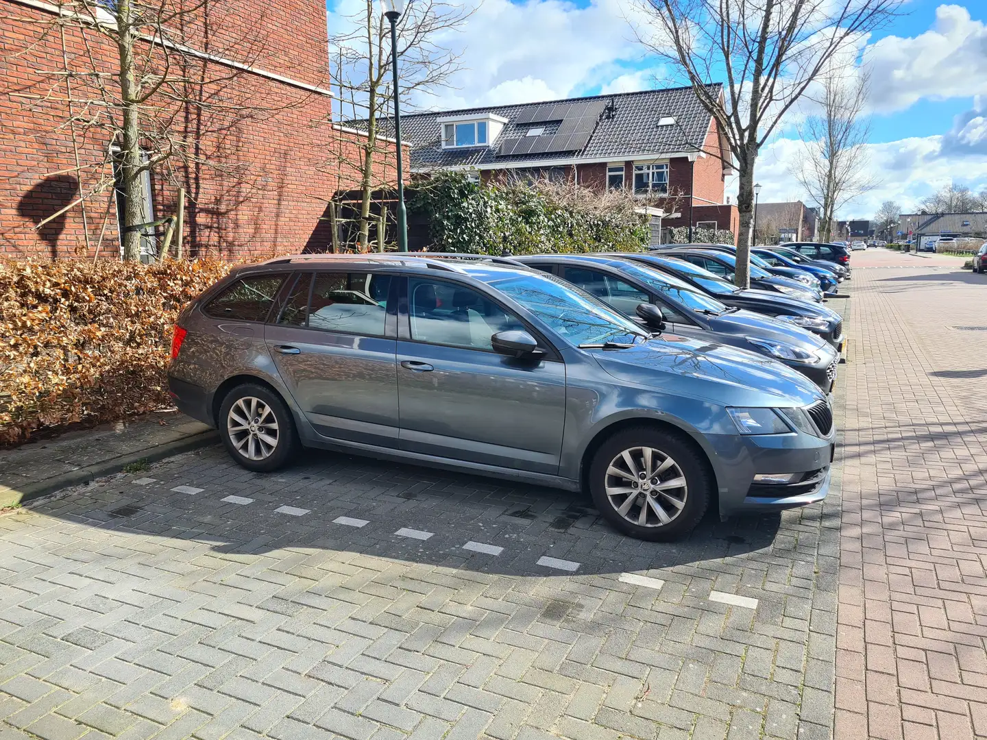 Skoda Octavia Octavia 1.0 TSI Grt Amb. Bns Grijs - 2