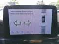 Ford Kuga 2,5 Duratec PHEV ST-Line X Aut. Grau - thumbnail 34