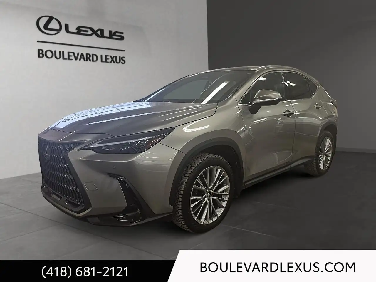 2024 Lexus NX
