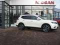 Nissan X-Trail 2.0 dCi Tekna 4x4 LEDER PANO LED WKR Weiß - thumbnail 4