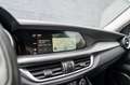 Alfa Romeo Stelvio 2.2d AUTOMAAT/NAVI/LEDER/ACC Gris - thumbnail 10
