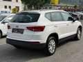 SEAT Ateca Reference TDI | 1.Besitz | TÜV NEU | ZR NEU | Anhängerk. Weiß - thumbnail 7