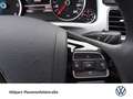 Volkswagen Touareg 3.0 V6 TDI Terrain Tech R-LINE LUFT PANO CAM Schwarz - thumbnail 13