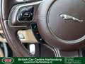 Jaguar XJ 5.0 V8 Premium Luxury Blanco - thumbnail 20