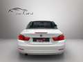 BMW 420 d Cabrio Modern Line Aut. Weiß - thumbnail 6