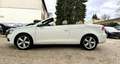 Volkswagen Eos 1.4 Navi Leder Pano I.Hand SHG 17 " LED Xenon PDC bijela - thumbnail 12