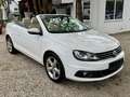 Volkswagen Eos 1.4 Navi Leder Pano I.Hand SHG 17 " LED Xenon PDC Beyaz - thumbnail 3