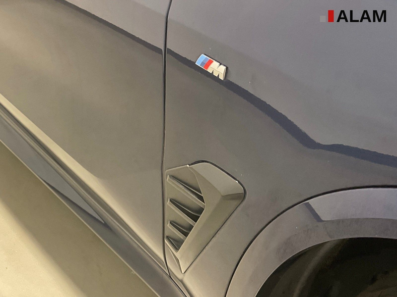BMW X5 30 d xDrive M Sport ACC AHK HUD 360° Pano — photo 8