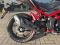 Benelli BN 125 E5+ Negro - thumbnail 12
