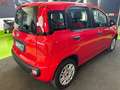 Fiat Panda 1.3 mjt 16v Easy 95cv Rosso - thumbnail 5