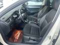 Skoda Octavia Ambition Blanc - thumbnail 7