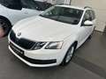 Skoda Octavia Ambition Blanc - thumbnail 3