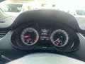 Skoda Octavia Ambition Blanc - thumbnail 11