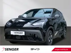 Byd DOLPHIN SURF Comfort Carplay 360°K. LED Keyless