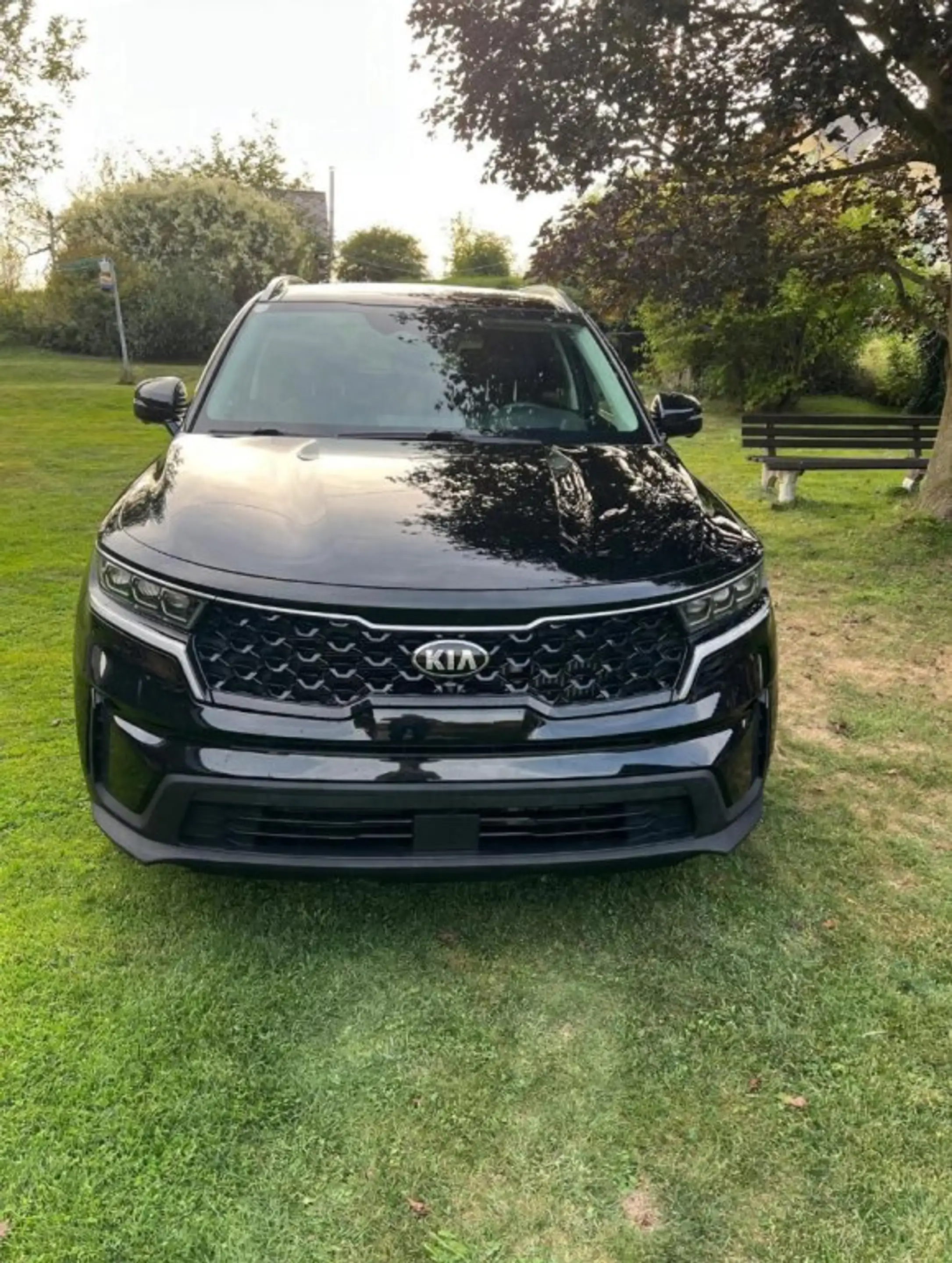 Kia Sorento /PHEV/5S/GOLD/UVO/1.6 TGDI/AT6/AWD — photo 6