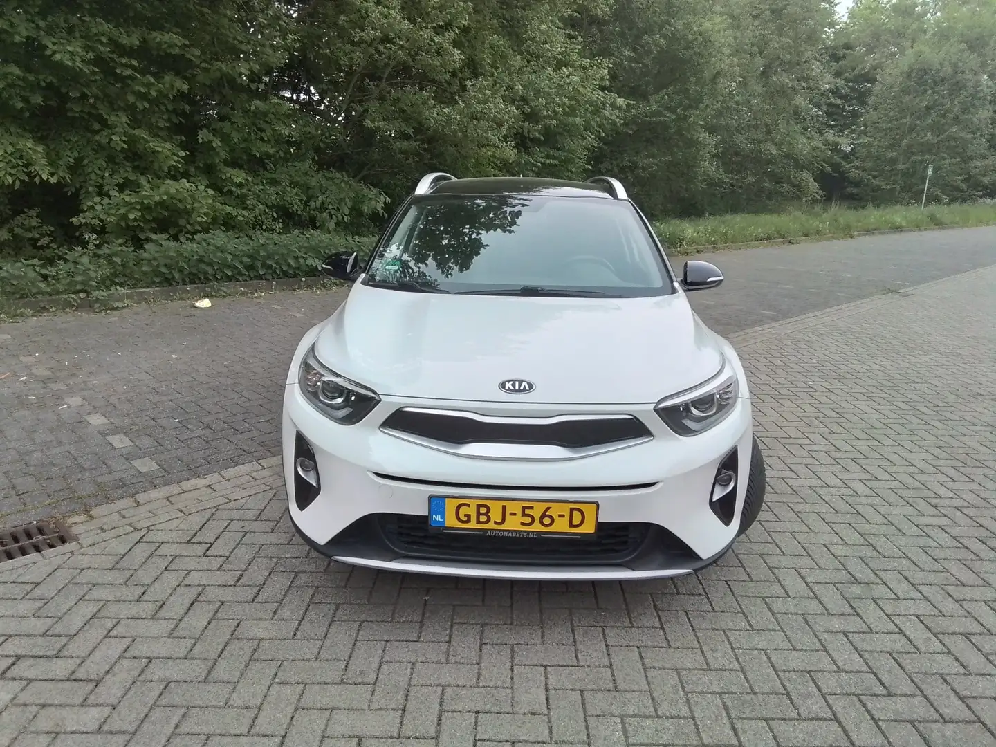 Kia Stonic 1.0 T-GDi Dynamic Plus Line Wit - 2