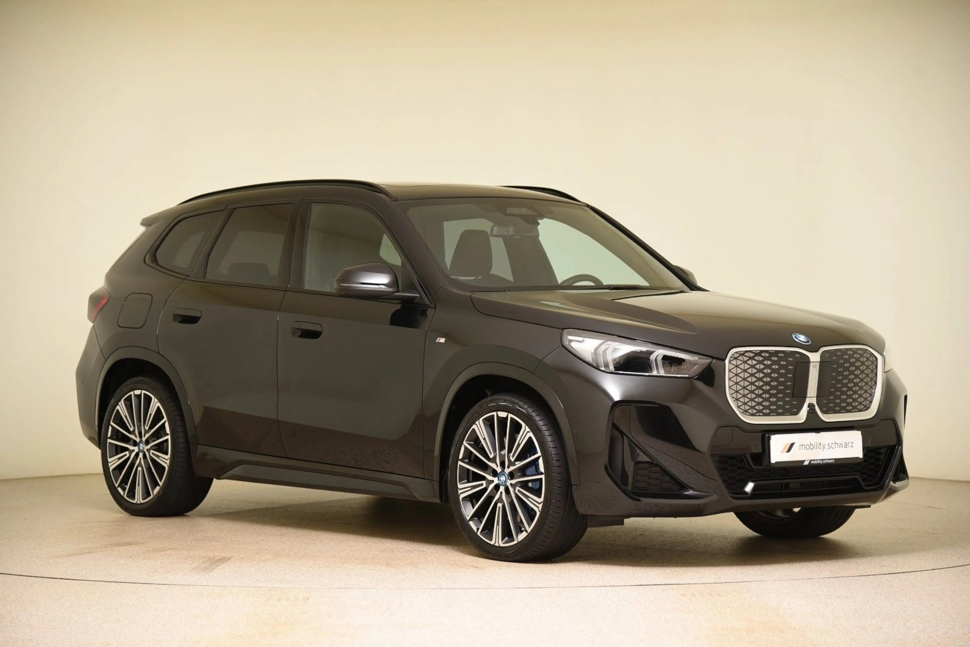 BMW iX1 xDrive30 M Sport Pano ACC LED H&K AHK 360° — photo 4