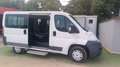 Fiat Ducato Ducato 33 2.0 MJT PC-TN Furgone Vetrato Bianco - thumbnail 5