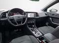 SEAT Ateca 2.0 TSI FR 4Drive DSG / ACC / LED / NAVI / KAMERA3 Grau - thumbnail 10