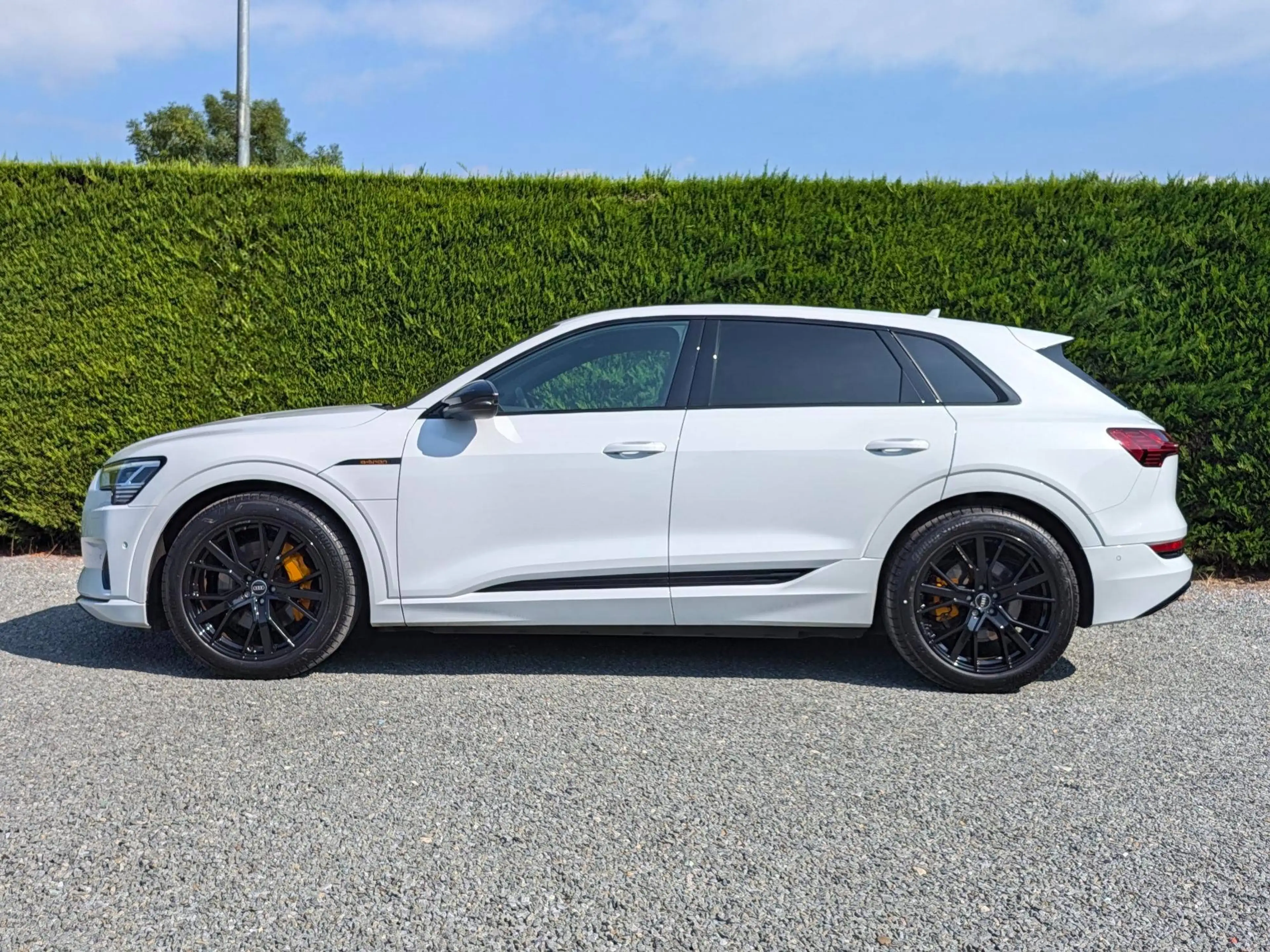 Audi Q8 e-tron (Q8) Sportstuur - gekleurde remklauwen - 21" velgen — photo 2