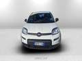 Fiat Panda 1.0 firefly hybrid s&s 70cv 5p.ti Weiß - thumbnail 8